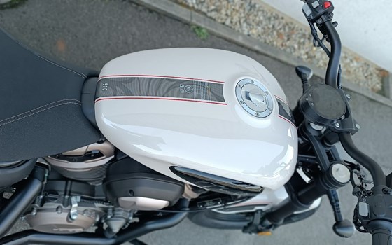 Neufahrzeug Benda Chinchilla 500 - Bild 3