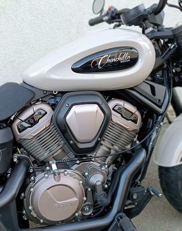 Angebot Benda Chinchilla 500