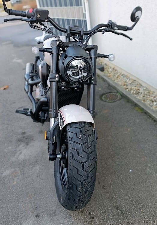 Angebot Benda Chinchilla 500