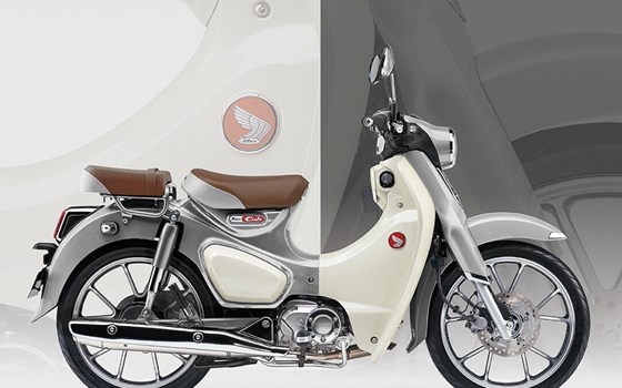 Neufahrzeug Honda Super Cub C 125 - Bild 3