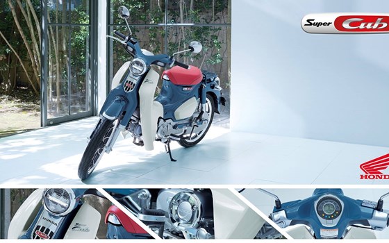 Neufahrzeug Honda Super Cub C 125 - Bild 3