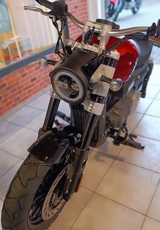 Angebot Benda Chinchilla 125