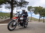 Angebot Moto Guzzi V85 TT