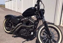 Gebrauchte Harley-Davidson Sportster XL 883 N Iron