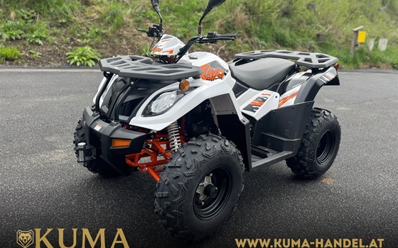 Neufahrzeug Kayo A 300 - Bild 1