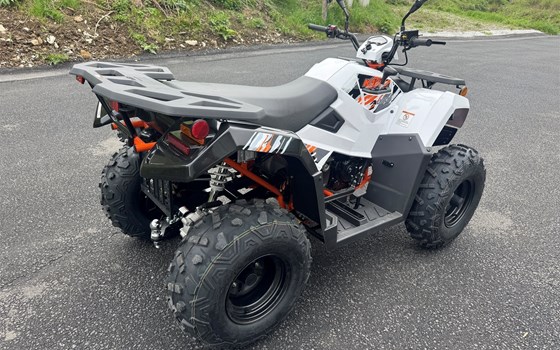 Neufahrzeug Kayo A 300 - Bild 6