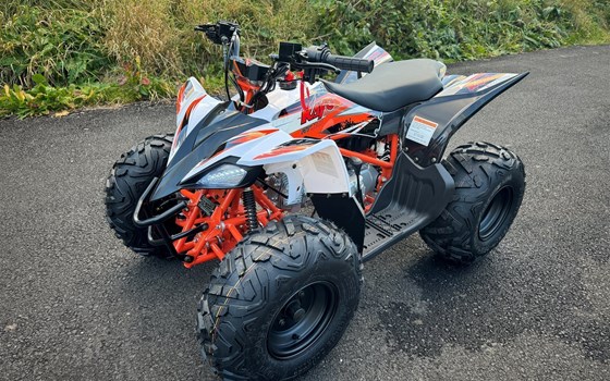 Neufahrzeug Kayo AT 110 - Bild 7