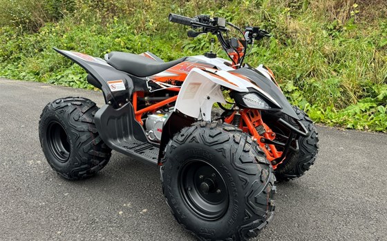 Neufahrzeug Kayo AT 125 - Bild 3