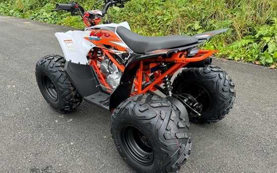 Neufahrzeug Kayo AT 125 - Bild 7