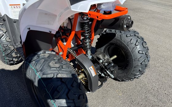 Neufahrzeug Kayo Fox 70 - Bild 6