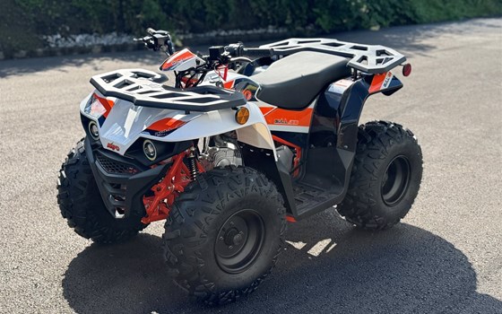 Neufahrzeug Kayo Racing Bull 125 - Bild 3