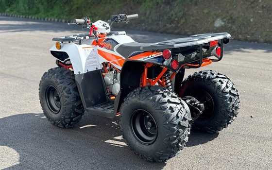 Neufahrzeug Kayo Racing Bull 125 - Bild 6