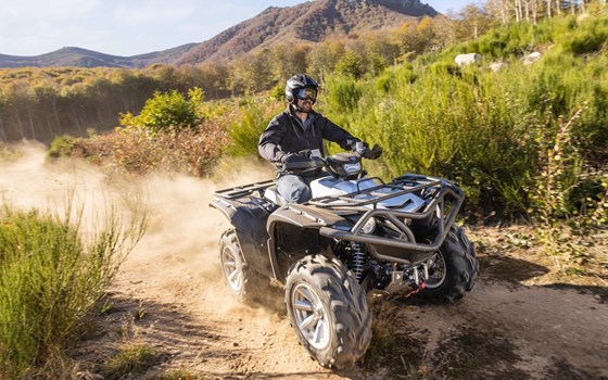 Neufahrzeug Yamaha Grizzly 700 25th Anniversary - Bild 5