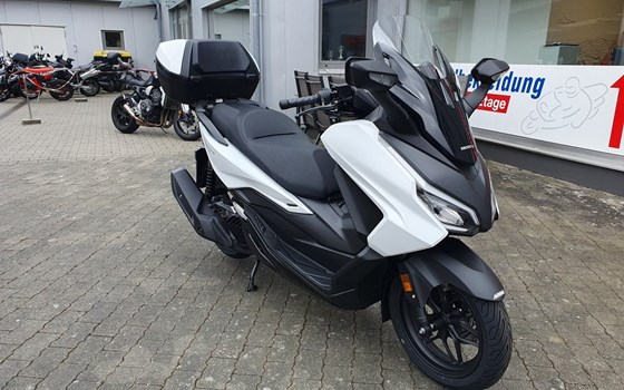 Gebrauchtmotorrad Honda Forza 125 - Bild 3