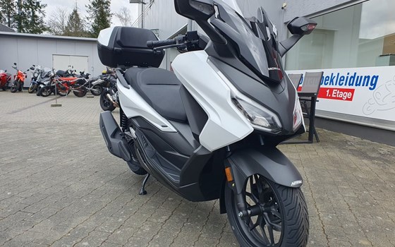 Gebrauchtmotorrad Honda Forza 125 - Bild 4