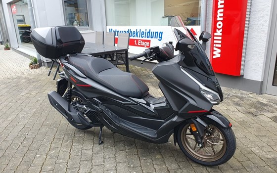 Gebrauchtmotorrad Honda Forza 125 - Bild 2