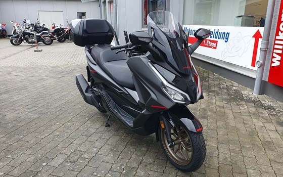 Gebrauchtmotorrad Honda Forza 125 - Bild 3