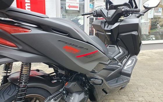 Gebrauchtmotorrad Honda Forza 125 - Bild 8