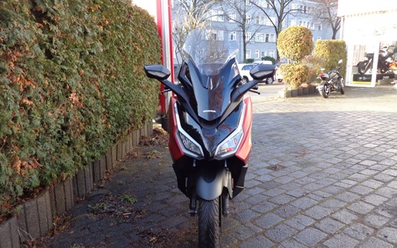 Gebrauchtmotorrad Honda Forza 125 - Bild 2
