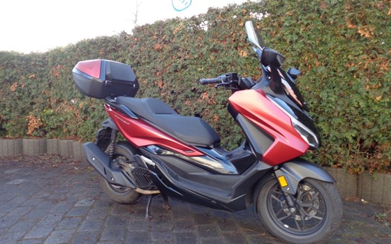Gebrauchtmotorrad Honda Forza 125 - Bild 3
