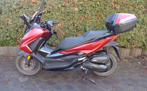 Gebrauchtmotorrad Honda Forza 125 - Bild 4
