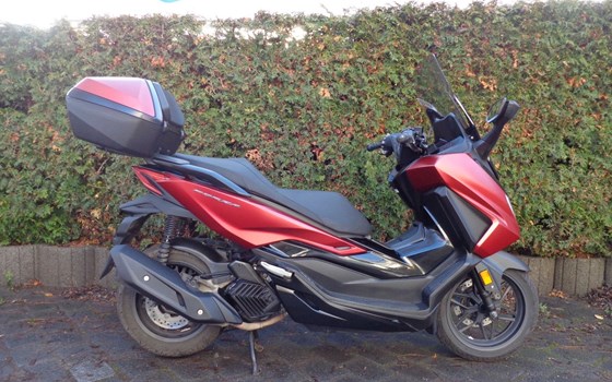Gebrauchtmotorrad Honda Forza 125 - Bild 5