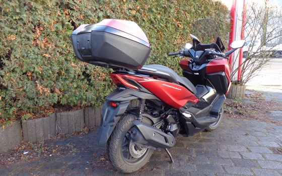 Gebrauchtmotorrad Honda Forza 125 - Bild 8
