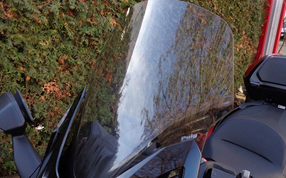 Gebrauchtmotorrad Honda Forza 125 - Bild 9