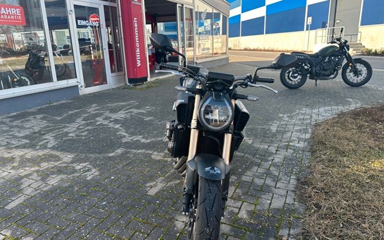 Gebrauchtmotorrad Honda CB650R E-Clutch - Bild 3