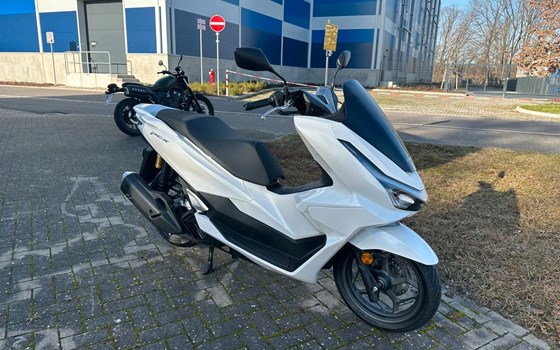 Gebrauchtmotorrad Honda PCX125 - Bild 1