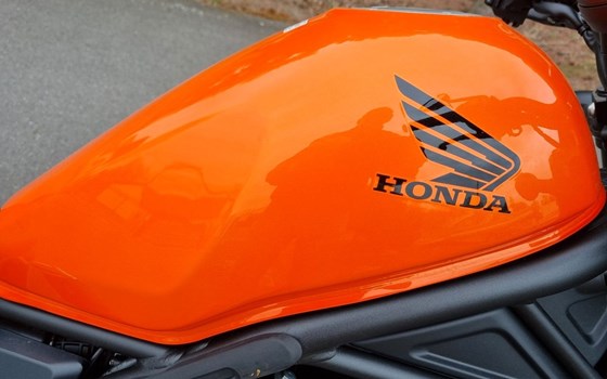 Gebrauchtmotorrad Honda CMX500 Rebel - Bild 6