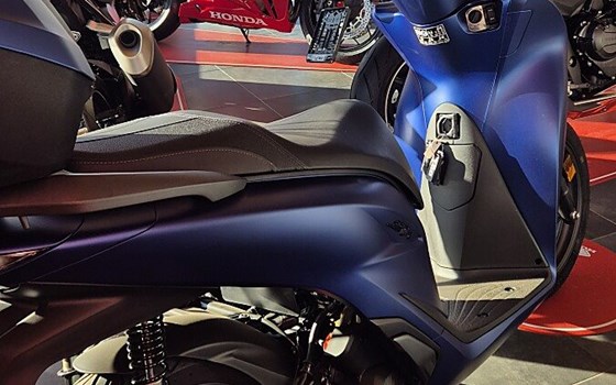 Neufahrzeug Honda SH125 - Bild 2