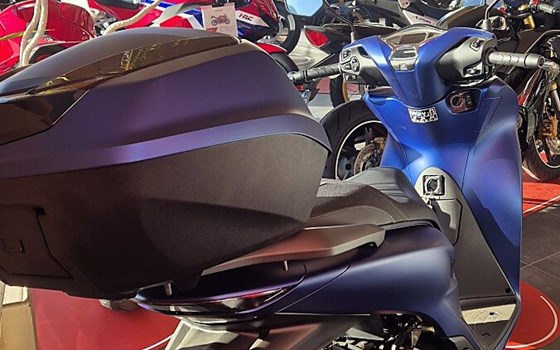 Neufahrzeug Honda SH125 - Bild 3