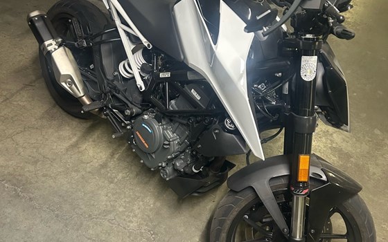 Gebrauchtmotorrad KTM 390 Duke - Bild 4