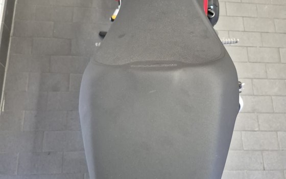 Gebrauchtmotorrad Ducati Monster 797 - Bild 19