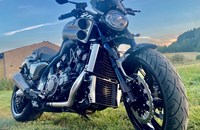 Top 5: Brachiale Nakeds