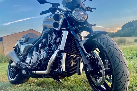 Top 5: Brachiale Nakeds