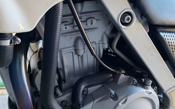 Gebrauchtmotorrad BMW F 650 GS Dakar - Bild 6