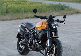 Gebrauchte Ducati Scrambler 1100 Tribute PRO