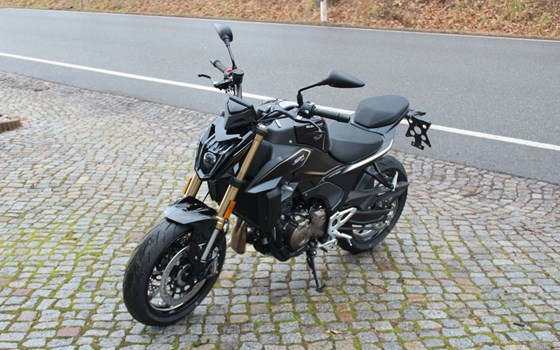 Neufahrzeug QJ Motor SRK 600 PRO - Bild 3