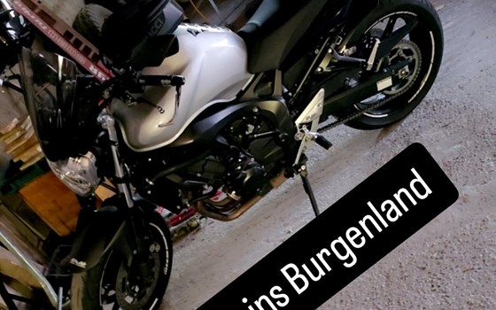 Gebrauchtmotorrad Yamaha FZ6 S2 - Bild 6