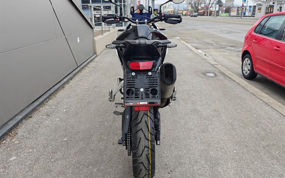 Gebrauchtmotorrad Triumph Tiger 900 Rally Pro - Bild 5