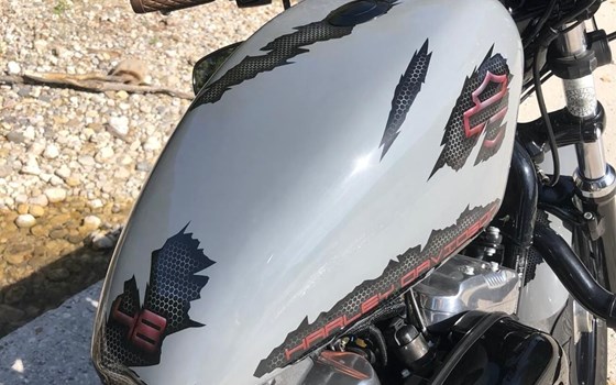 Gebrauchtmotorrad Harley-Davidson Sportster XL 1200X Forty-Eight - Bild 14