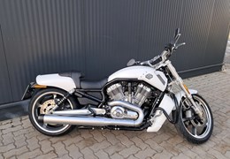Gebrauchte Harley-Davidson V-Rod Muscle VRSCF