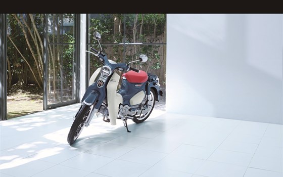 Neufahrzeug Honda Super Cub C 125 - Bild 5