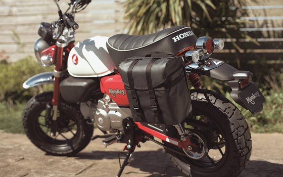 Neufahrzeug Honda Monkey 125 - Bild 5