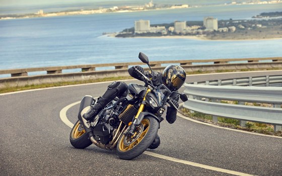 Neufahrzeug Honda CB1000 Hornet SP - Bild 3