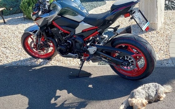 Gebrauchtmotorrad Kawasaki Z900 - Bild 2