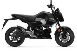Gebrauchte Honda MSX125 Grom