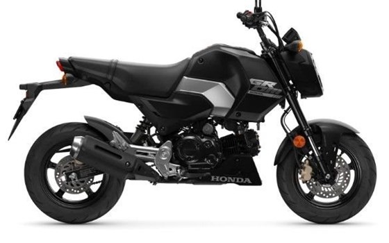 Gebrauchtmotorrad Honda MSX125 Grom - Bild 1